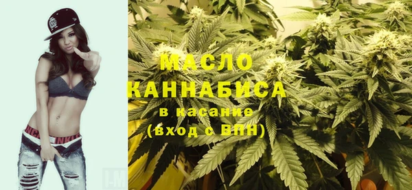 амф Каменка