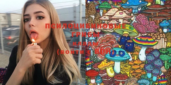 трава Каменногорск