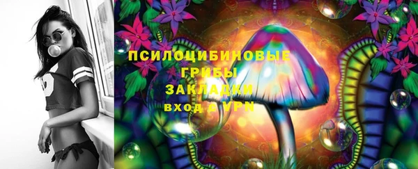 трава Каменногорск