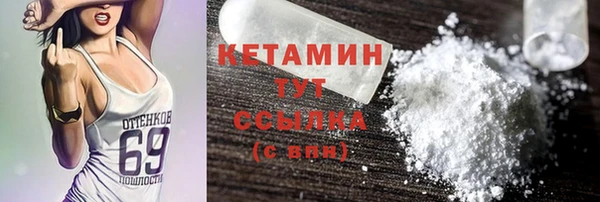 амф Каменка