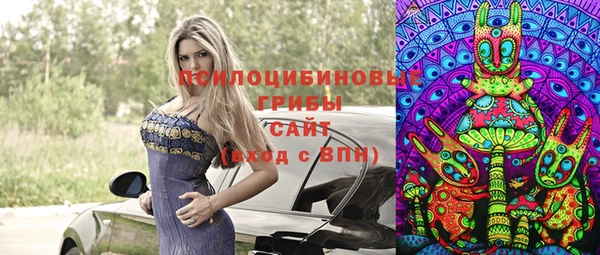 трава Каменногорск